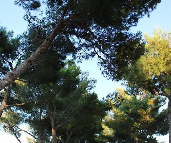 別荘 Laura バーリ