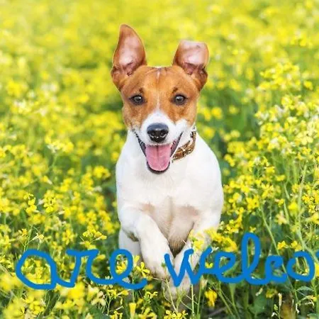 Holiday home Laura *