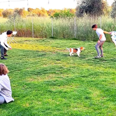 Laura Holiday home Bari